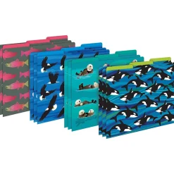 File Folders|Barker Creek Sea & Sky Eagles On-Trend Organizer Set, 92/Set (4102)