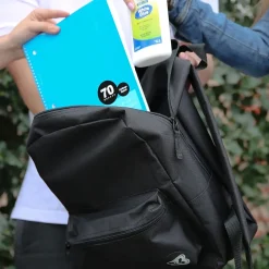 Bazic Classic Laptop Backpack, Medium, Gray (BAZ1061)