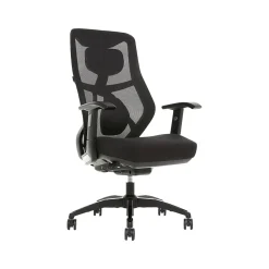 Ergonomic Chairs*Beautyrest Duo-EX Ergonomic Mesh Swivel Task Chair, /Gray (60051GRY) Black