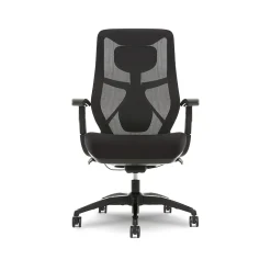 Ergonomic Chairs*Beautyrest Duo-EX Ergonomic Mesh Swivel Task Chair, /Gray (60051GRY) Black