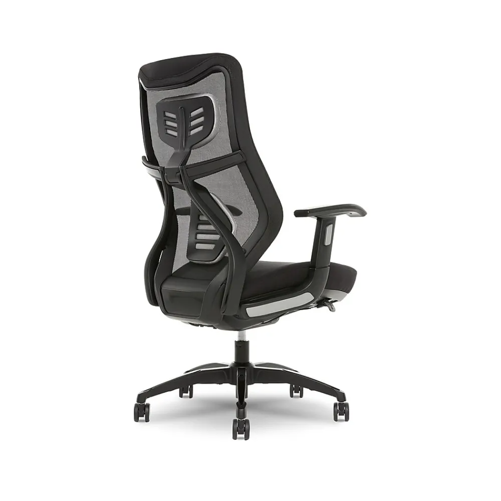 Ergonomic Chairs*Beautyrest Duo-EX Ergonomic Mesh Swivel Task Chair, /Gray (60051GRY) Black