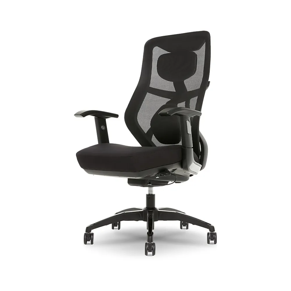 Ergonomic Chairs*Beautyrest Duo-EX Ergonomic Mesh Swivel Task Chair, /Gray (60051GRY) Black