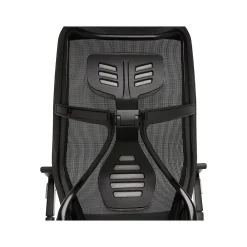 Ergonomic Chairs*Beautyrest Duo-EX Ergonomic Mesh Swivel Task Chair, /Gray (60051GRY) Black