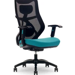 Office Chairs*Beautyrest Duo-EX Ergonomic Mesh Swivel Computer Chair, (60051-TEL) Teal