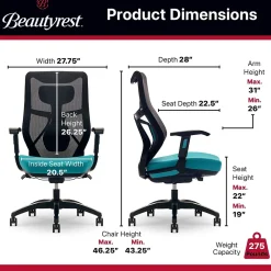 Office Chairs*Beautyrest Duo-EX Ergonomic Mesh Swivel Computer Chair, (60051-TEL) Teal