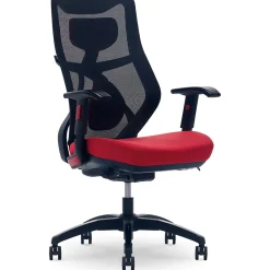 Ergonomic Chairs*Beautyrest Duo-EX Ergonomic Mesh Swivel Computer Chair, (60051-) Red