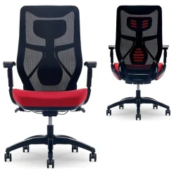 Ergonomic Chairs*Beautyrest Duo-EX Ergonomic Mesh Swivel Computer Chair, (60051-) Red