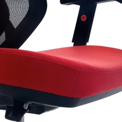 Ergonomic Chairs*Beautyrest Duo-EX Ergonomic Mesh Swivel Computer Chair, (60051-) Red