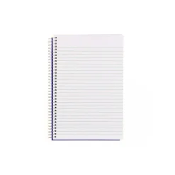 Notepads|Blueline Notes Steno Pad, 6