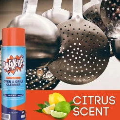 Professional Kitchen & Oven Cleaner, 19 oz., 6/Carton (CBD991206)<Break-Up Best