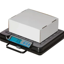 Clearance Brecknell Digital Postal Scale, 250 lb. Capacity (GP250)