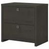 File Cabinets*Bush Business Furniture Echo 2 Drawer Lateral File Cabinet, Charcoal Maple (KI60302-03)