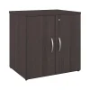 Storage Cabinets*Bush Business Furniture Studio C 30" Storage Cabinet with 2 Shelves, Storm Gray (SCS130SG)