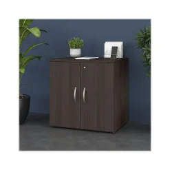 Storage Cabinets*Bush Business Furniture Studio C 30" Storage Cabinet with 2 Shelves, Storm Gray (SCS130SG)