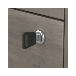 File Cabinets*Bush Furniture Homestead 2-Drawer Lateral File Cabinet, Letter/Legal Size, Lockable, Driftwood Gray (HOF129DG-Z)