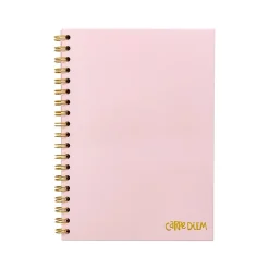 Subject Notebooks|Carpe Diem Ballerina Pink 1-Subject Notebook, 7.5" x 9.75", Wide-Ruled, 80 Sheets, Pink (9376-CD)
