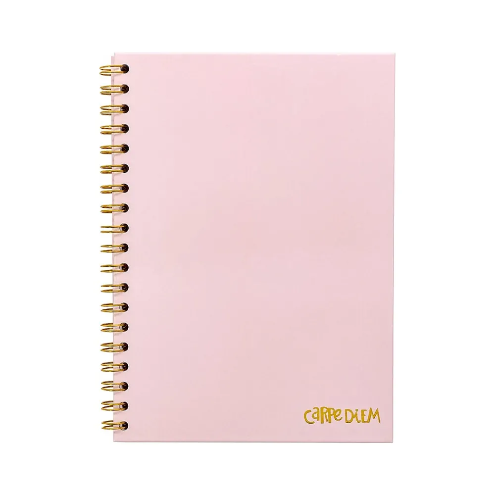 Subject Notebooks|Carpe Diem Ballerina Pink 1-Subject Notebook, 7.5" x 9.75", Wide-Ruled, 80 Sheets, Pink (9376-CD)