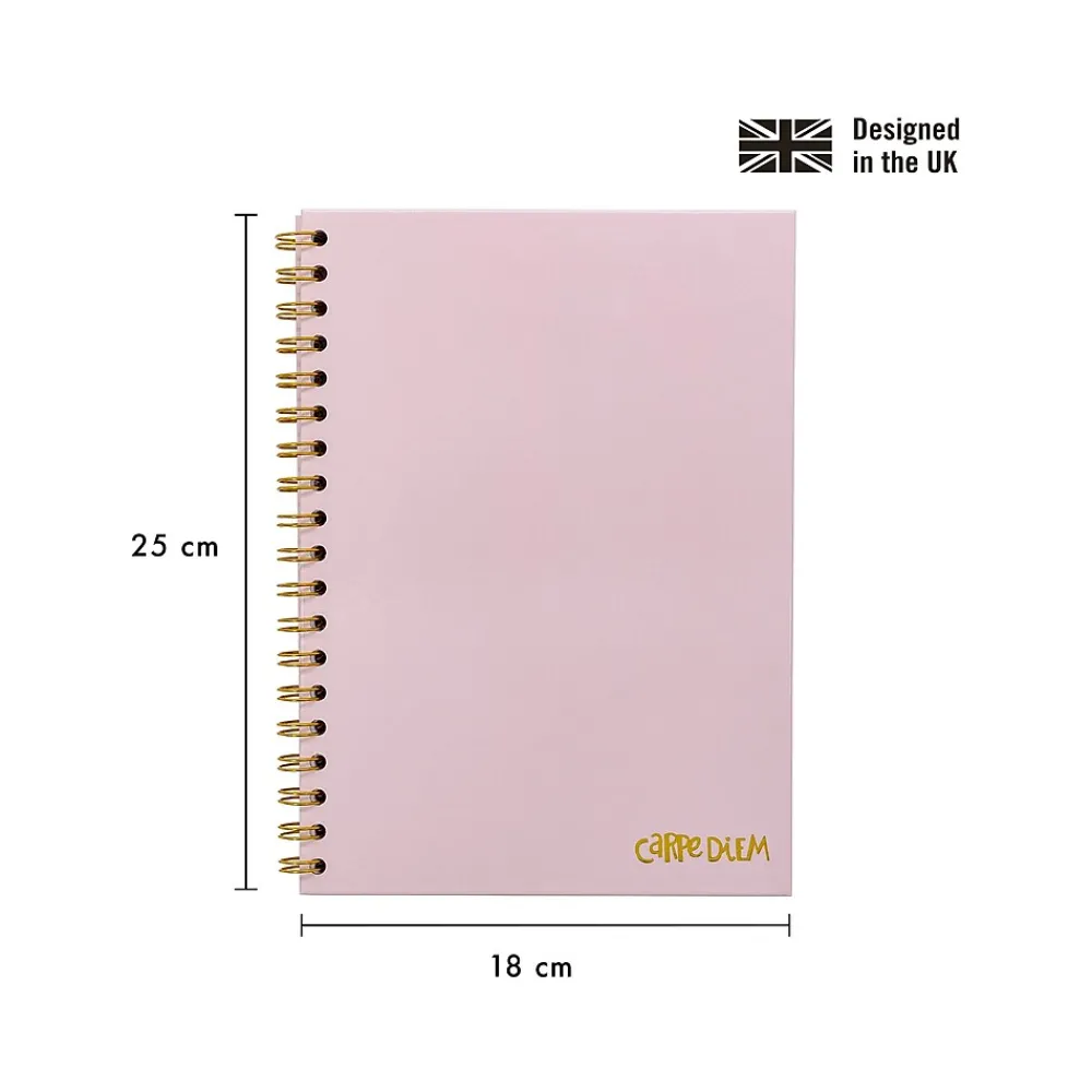 Subject Notebooks|Carpe Diem Ballerina Pink 1-Subject Notebook, 7.5" x 9.75", Wide-Ruled, 80 Sheets, Pink (9376-CD)