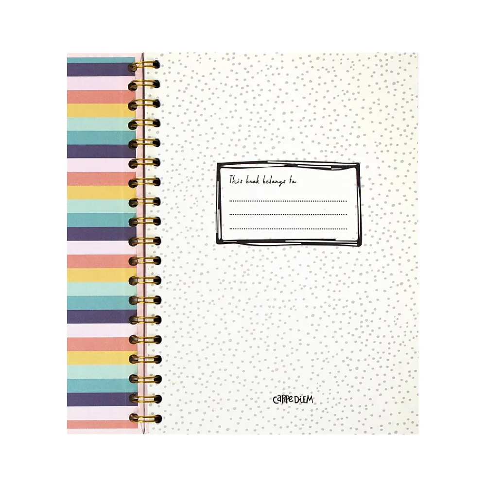 Subject Notebooks|Carpe Diem Ballerina Pink 1-Subject Notebook, 7.5" x 9.75", Wide-Ruled, 80 Sheets, Pink (9376-CD)