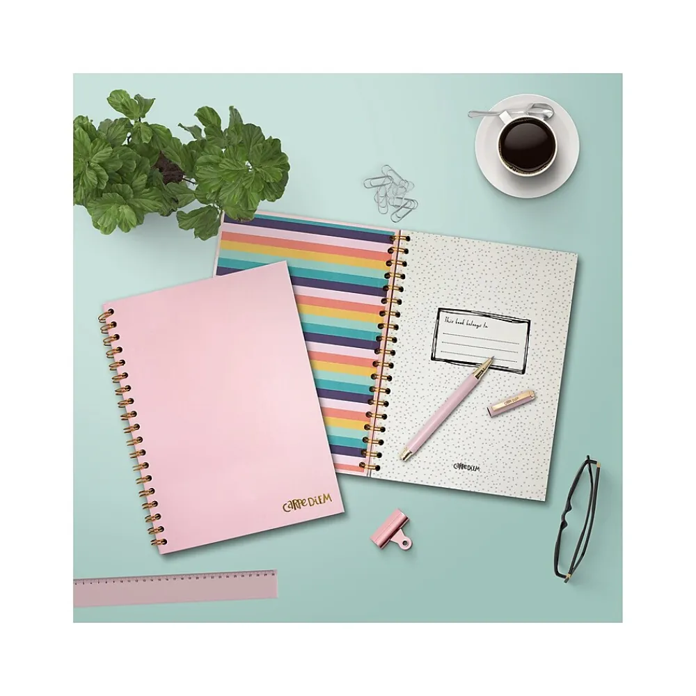 Subject Notebooks|Carpe Diem Ballerina Pink 1-Subject Notebook, 7.5" x 9.75", Wide-Ruled, 80 Sheets, Pink (9376-CD)