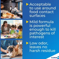 Anywhere Daily Disinfectant and Sanitizer, 32 fl. oz. (01698)<CloroxPro