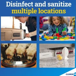 Anywhere Daily Disinfectant and Sanitizer, 32 fl. oz. (01698)<CloroxPro