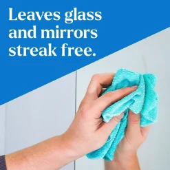 Pro EcoClean Glass Cleaner, 32 Oz. (60277)<Clorox Online