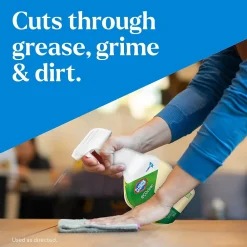 Pro EcoClean All-Purpose Cleaner Spray Bottle, 32 fl. oz. (60276)<Clorox Hot