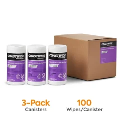 ™ Disinfecting Wipes, 100 Wipes/Container, 300/Pack (CW105WW10-A)<Coastwide Professional Hot