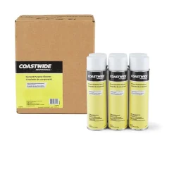 ™ General-Purpose Cleaner, 19 Oz., 6/Carton (CW58495-A)<Coastwide Professional