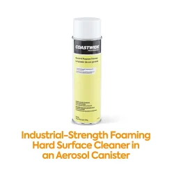™ General-Purpose Cleaner, 19 Oz., 6/Carton (CW58495-A)<Coastwide Professional
