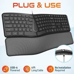 Delton KB250 Ergonomic Keyboard, Black (DKBE250-U)