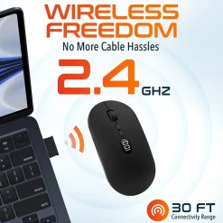 Clearance Delton S16 Wireless Ambidextrous Optical 2.4 GHz Mouse, Black (DMS16-WR)