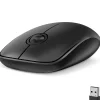 Clearance Delton S15 Wireless Ambidextrous Optical 2.4 GHz Mouse, Black (DMS15-WB)
