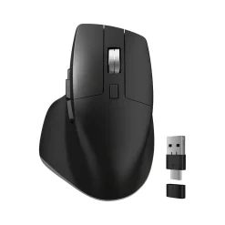 Discount Delton S18 Wireless Optical Mouse, Black (DMS18-WB)