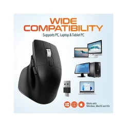 Discount Delton S18 Wireless Optical Mouse, Black (DMS18-WB)