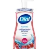 Antibacterial Foaming Hand Soap, Power Berries Scent, 8/Carton (017000347271)<Dial Outlet