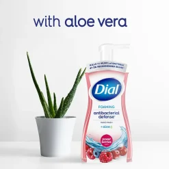 Antibacterial Foaming Hand Soap, Power Berries Scent, 8/Carton (017000347271)<Dial Outlet