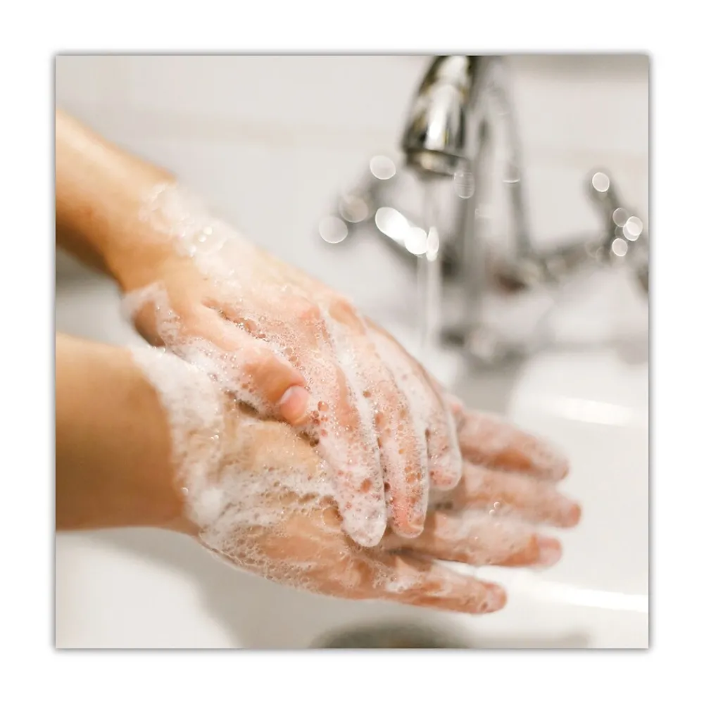 Professional Basics MP Free Liquid Hand Soap Refill for Versa Dispenser, 15 oz Refill Bottle, 6/Carton (DIA33827)<Dial Best