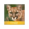 Card Stock*Domtar Cougar Digital 80 lb. Cover Paper, 11" x 17", White, 250 Sheets/Pack (2868)