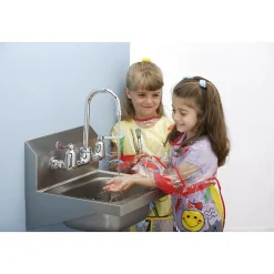 Elkay Commercial Handwash Sink Kit, Stainless Steel, Single Bowl, Wall Hung, Buffed Satin (CHS1716C)