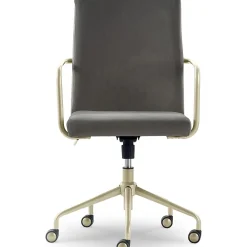 Office Chairs*Elle Decor Giselle Fabric Computer and Desk Chair, Light Gray/Gold (CHR10058B)