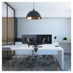 Best Ergotron LX Adjustable Dual Side-by-Side Mounting Arm, 27" Screen Support, Matte Black (45245224)