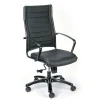 Office Chairs*Eurotech High Back Titanium Frame Leather Executive Chair: Black
