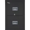 File Cabinets*FireKing ® 2-Drawer Vertical File Cabinet, Letter, Black, 32"D (2P1831CBLI)