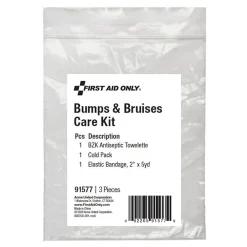 First Aid Only Bumps and Bruises Care Kit,3 Pieces, 25 Packs/Carton (91577)