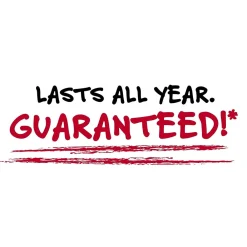 Subject Notebooks|Five Star 3-Subject Notebooks, 8.5