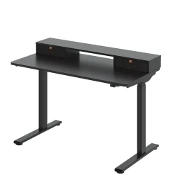 Standing Desks*FlexiSpot EC9B Series 48"W Electric Adjustable Standing Desk, Black (EC9BDO04B)