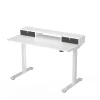 Standing Desks*FlexiSpot EC9W Series 48" W Electric Adjustable Standing Desk, White (EC9WDO04W)
