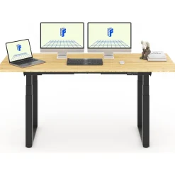 Standing Desks*FlexiSpot E7Q 72